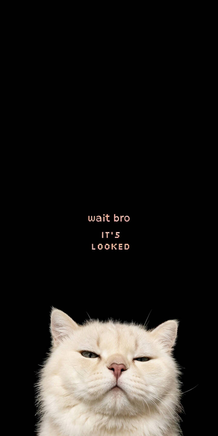 The white cat's intense squint and skeptical expression fill the bottom of this striking 4K wallpaper, perfectly complemented by the humorous "wait bro IT'S LOOKED" text against a solid black background – an ideal wallpaper for iPhone users seeking a relatable meme. | meme funny cat iphone minimalist wallpaper black background mobile 4k wallpaper hd wallpaper grumpy The white cat's intense squint and skeptical expression fill the bottom of this striking 4K wallpaper, perfectly complemented by the humorous "wait bro IT'S LOOKED" text against a solid black background – an ideal wallpaper for iPhone users seeking a relatable meme.