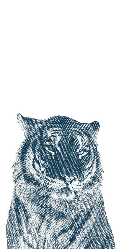 The distinctive blue-grey engraving art style brings this majestic tiger to life with an intense yet calm gaze in this minimalist 4K wallpaper, making it a captivating wallpaper for your iPhone. | leopard The distinctive blue-grey engraving art style brings this majestic tiger to life with an intense yet calm gaze in this minimalist 4K wallpaper, making it a captivating wallpaper for your iPhone.