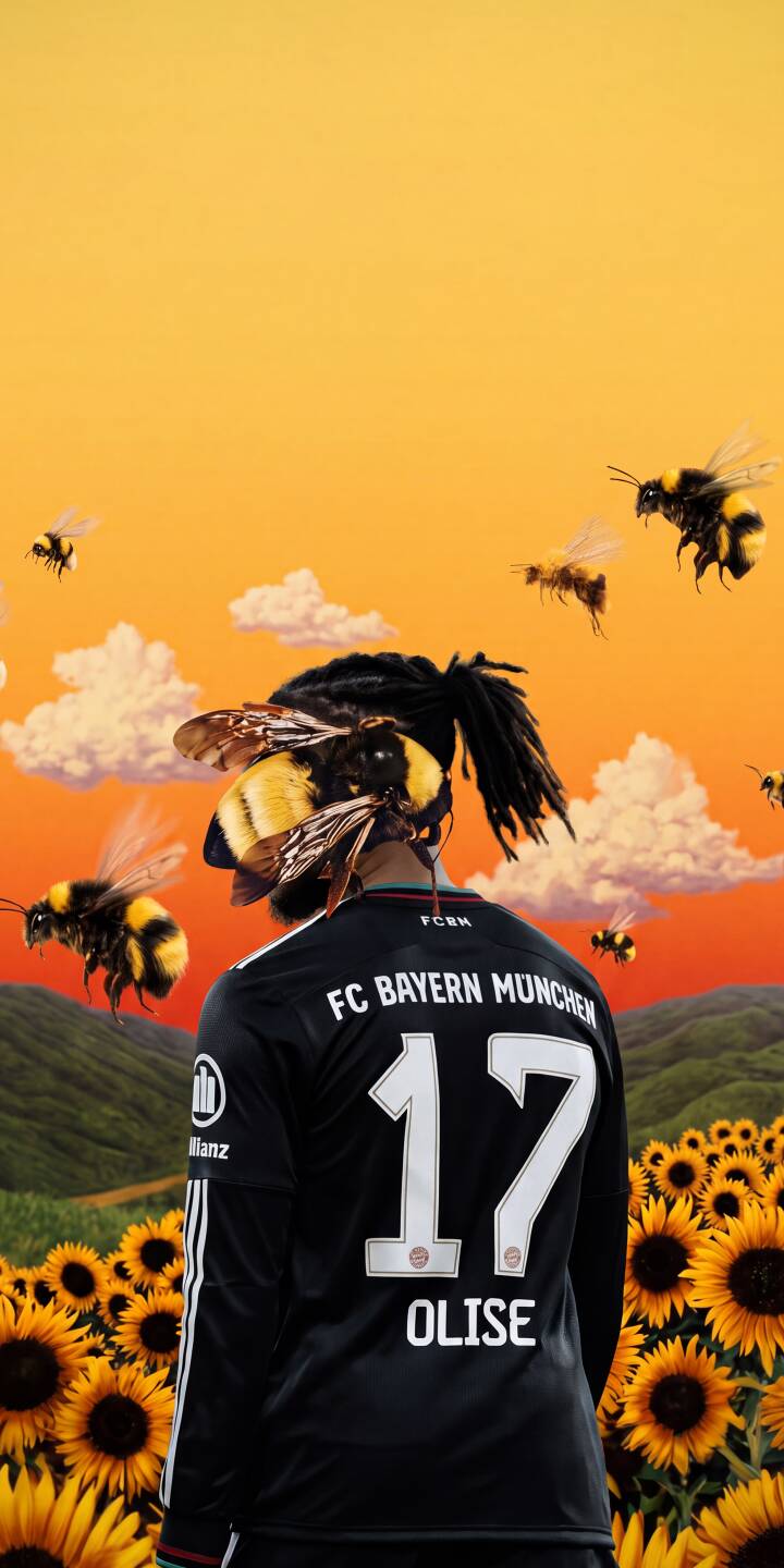 A striking large bumblebee rests on the back of Olise's head, who wears an FC Bayern München jersey in this vibrant 4K wallpaper. This surreal scene set against an orange sky and sunflower field makes for a unique iPhone wallpaper. | football iphone wallpaper mobile bees sunflowers 4k wallpaper hd wallpaper surreal olise fc bayern munich A striking large bumblebee rests on the back of Olise's head, who wears an FC Bayern München jersey in this vibrant 4K wallpaper. This surreal scene set against an orange sky and sunflower field makes for a unique iPhone wallpaper.