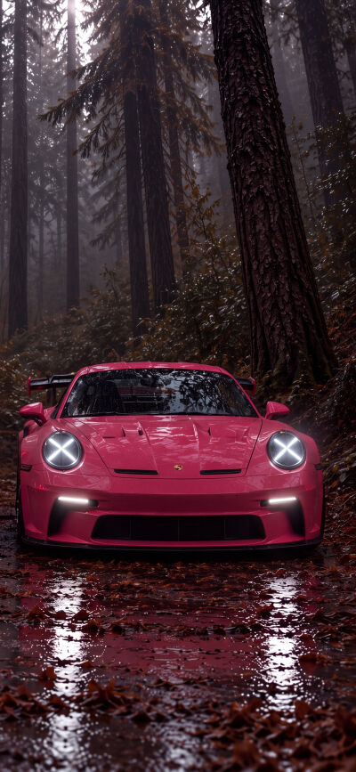 Glowing red taillights of a sleek black Porsche GT3 slice through the misty, dark forest, casting reflections onto the wet leaves below, making this a perfect 4K wallpaper for your iPhone and the other half of a stunning matching wallpaper duo. This captivating scene is an ideal backdrop, providing a dramatic mobile wallpaper experience.