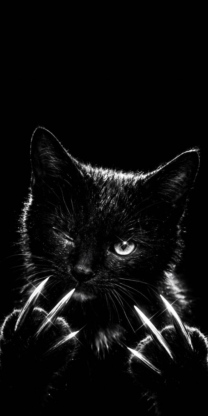 A mischievous black cat winks, its single gleaming eye contrasting with the sharp, luminous claws extended forward. This striking 4K wallpaper captures an edgy, mysterious vibe, making it a truly unique wallpaper for iPhone. | cat iphone wallpaper black cat mobile 4k wallpaper hd wallpaper claws monochrome winking edgy feline A mischievous black cat winks, its single gleaming eye contrasting with the sharp, luminous claws extended forward. This striking 4K wallpaper captures an edgy, mysterious vibe, making it a truly unique wallpaper for iPhone.