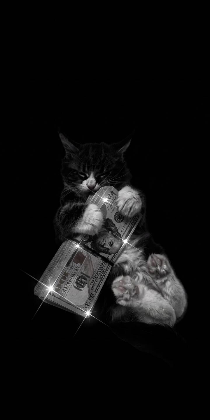 Sparkling hundred-dollar bills are clutched by a fluffy black and white cat with a satisfied expression in this stunning 4K wallpaper, making it a purr-fect aesthetic wallpaper for iPhone. | aesthetic dark cat cash money iphone wallpaper dollars kitten mobile 4k wallpaper hd wallpaper Sparkling hundred-dollar bills are clutched by a fluffy black and white cat with a satisfied expression in this stunning 4K wallpaper, making it a purr-fect aesthetic wallpaper for iPhone.