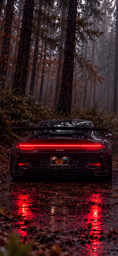 Glowing red taillights of a sleek black Porsche GT3 slice through the misty, dark forest, casting reflections onto the wet leaves below, making this a perfect 4K wallpaper for your iPhone and the other half of a stunning matching wallpaper duo. This captivating scene is an ideal backdrop, providing a dramatic mobile wallpaper experience.