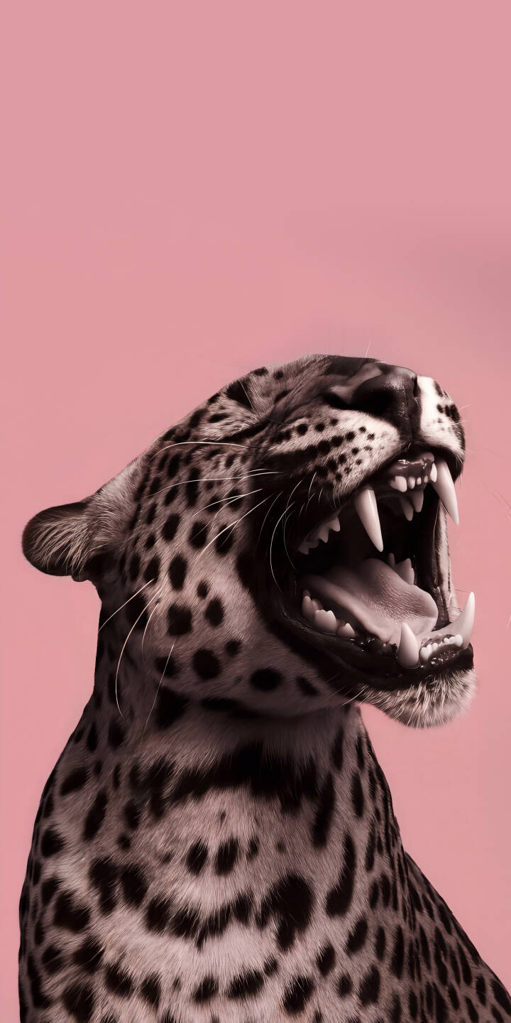 The leopard's mouth is wide open, revealing sharp fangs against a striking pink backdrop in this captivating 4K wallpaper. This fierce leopard wallpaper is perfect for your iPhone, showcasing intricate spots and an intense roar. | pink aesthetic jaguar iphone leopard wallpaper mobile 4k wallpaper hd wallpaper wildlife roaring The leopard's mouth is wide open, revealing sharp fangs against a striking pink backdrop in this captivating 4K wallpaper. This fierce leopard wallpaper is perfect for your iPhone, showcasing intricate spots and an intense roar.