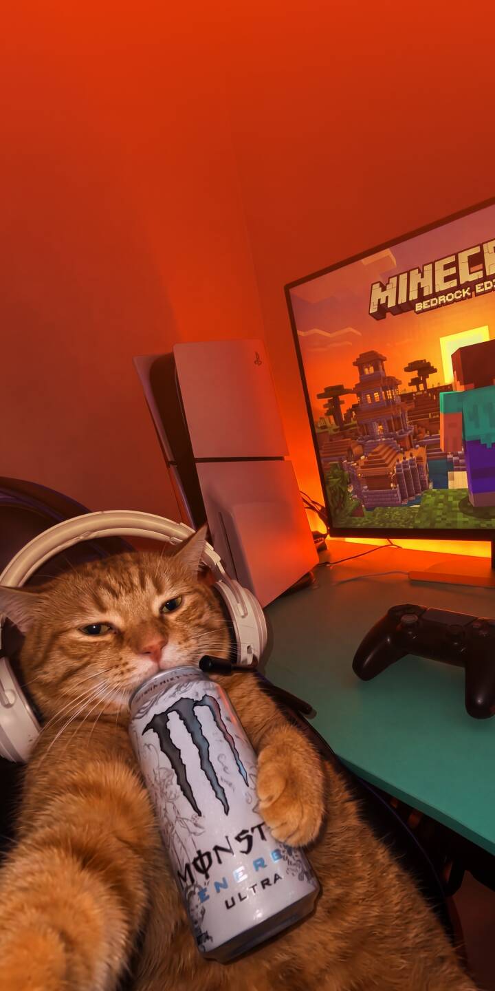 Bathed in a warm orange glow, a sleepy orange gamer cat wearing white headphones contentedly cradles a Monster Energy drink can beside a glowing 4K Minecraft screen, making for an incredibly charming wallpaper. This cozy scene creates an ideal unique wallpaper for iPhone users. | aesthetic cat minecraft iphone cozy gaming wallpaper mobile 4k wallpaper hd wallpaper monster energy gamer cat Bathed in a warm orange glow, a sleepy orange gamer cat wearing white headphones contentedly cradles a Monster Energy drink can beside a glowing 4K Minecraft screen, making for an incredibly charming wallpaper. This cozy scene creates an ideal unique wallpaper for iPhone users.