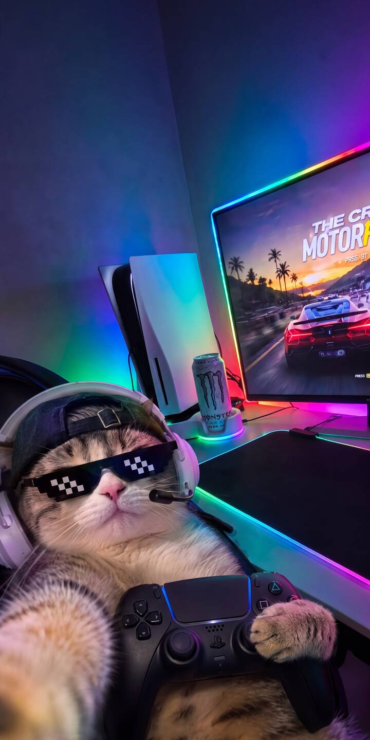 The colorful glow of RGB lighting illuminates a cool cat, engrossed in gaming with a PS5 controller and sporting pixelated 'Thug Life' sunglasses in this vibrant 4K wallpaper. This immersive gamer cat wallpaper is a must-have for iPhone backgrounds. | aesthetic cat iphone gaming wallpaper mobile thug life 4k wallpaper hd wallpaper pixel glasses gamer cat rgb lights The colorful glow of RGB lighting illuminates a cool cat, engrossed in gaming with a PS5 controller and sporting pixelated 'Thug Life' sunglasses in this vibrant 4K wallpaper. This immersive gamer cat wallpaper is a must-have for iPhone backgrounds.