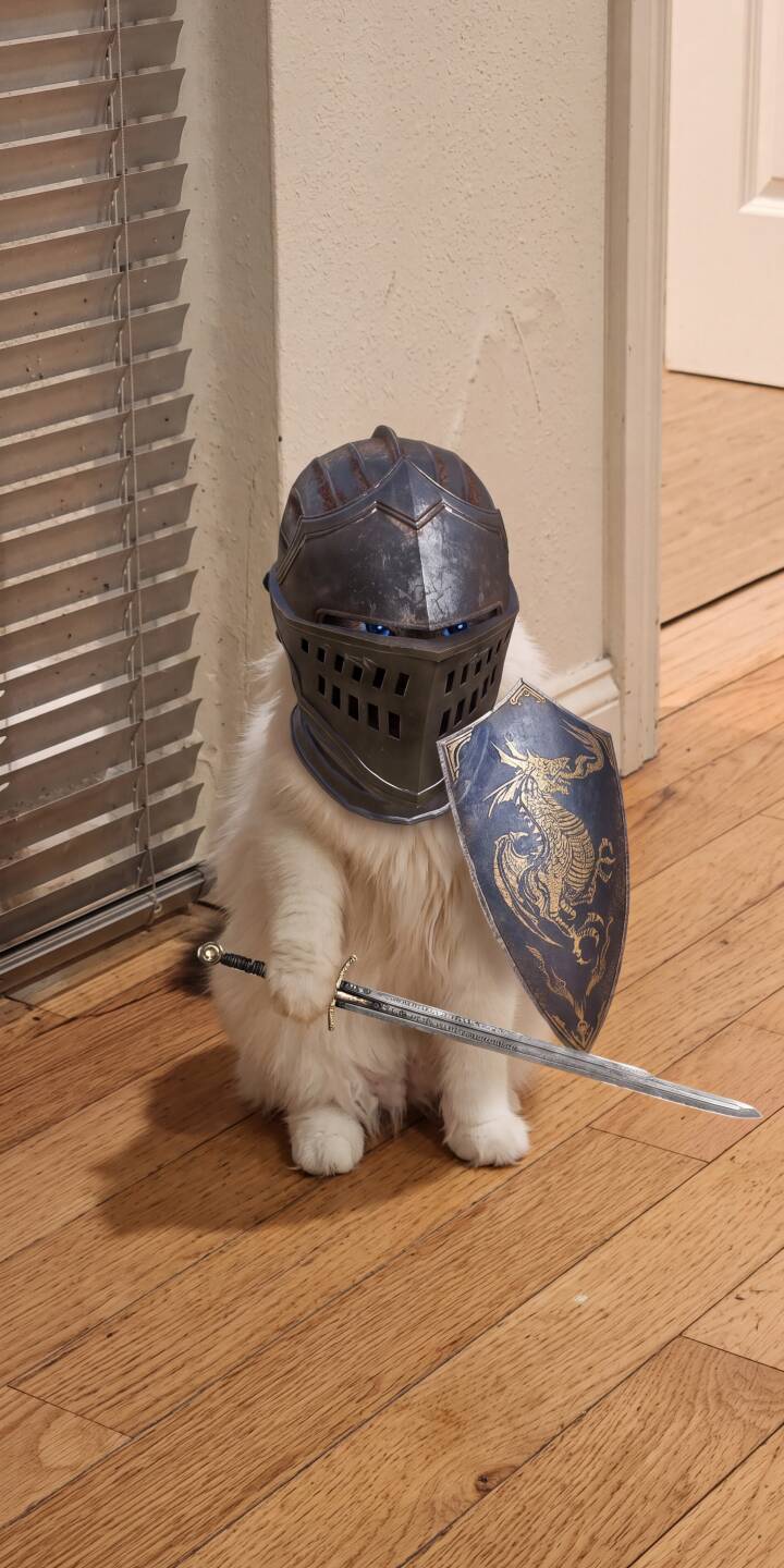 A brave white fluffy cat stands tall in a detailed knight's helmet and shield, wielding a tiny sword in this endearing 4K wallpaper. This charming feline warrior makes a perfect wallpaper for iPhone users who love a mix of cute and fantasy. | funny animal cat armor knight cute iphone fantasy wallpaper mobile 4k wallpaper hd wallpaper A brave white fluffy cat stands tall in a detailed knight's helmet and shield, wielding a tiny sword in this endearing 4K wallpaper. This charming feline warrior makes a perfect wallpaper for iPhone users who love a mix of cute and fantasy.
