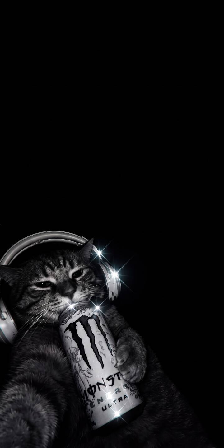 Shimmering highlights sparkle on this cool cat's headphones and Monster Energy Ultra can as it gazes with a casual expression in this edgy 4K wallpaper. Perfect for fans of aesthetic and minimalist designs, this unique wallpaper is a must-have for your iPhone. | aesthetic cat iphone wallpaper grayscale cool mobile headphones 4k wallpaper hd wallpaper feline monster energy Shimmering highlights sparkle on this cool cat's headphones and Monster Energy Ultra can as it gazes with a casual expression in this edgy 4K wallpaper. Perfect for fans of aesthetic and minimalist designs, this unique wallpaper is a must-have for your iPhone.