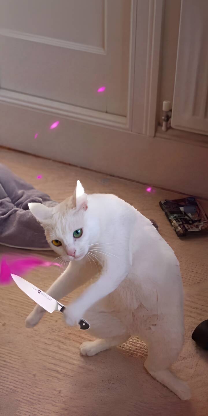 A mischievous white cat with piercing heterochromia eyes wields a shining kitchen knife amidst a mystical pink glow in this vibrant 4K wallpaper. This unique cat wallpaper is a must-have for iPhone users who appreciate quirky and captivating desktop backgrounds. | funny cat iphone wallpaper mobile 4k wallpaper hd wallpaper heterochromia meme cat pink glow knife cat killer cat A mischievous white cat with piercing heterochromia eyes wields a shining kitchen knife amidst a mystical pink glow in this vibrant 4K wallpaper. This unique cat wallpaper is a must-have for iPhone users who appreciate quirky and captivating desktop backgrounds.