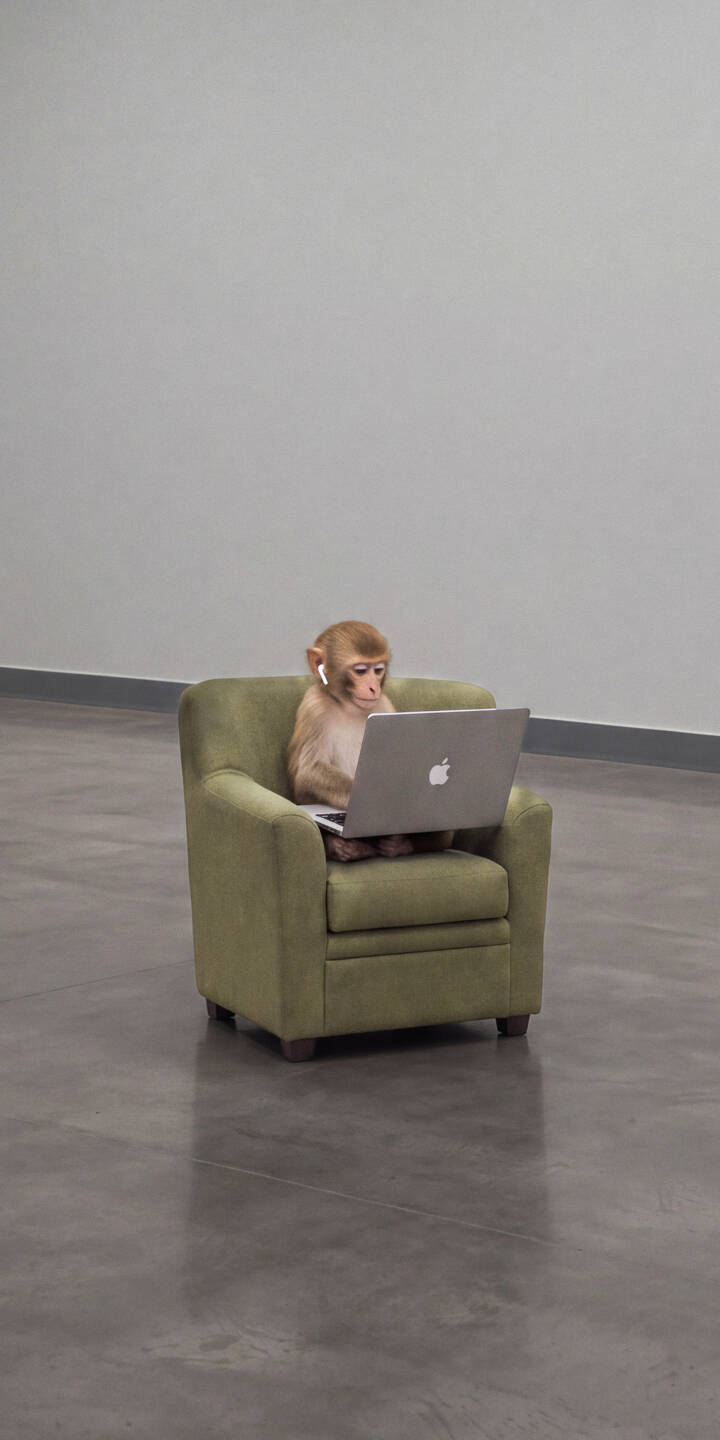 The small monkey, with an intent expression and wearing white wireless earbuds, sits comfortably in a green armchair using a laptop in this unique 4K wallpaper for iPhone. This charming scene makes for an appealing wallpaper. | funny laptop cute iphone monkey wallpaper tech mobile 4k wallpaper hd wallpaper primate airpods The small monkey, with an intent expression and wearing white wireless earbuds, sits comfortably in a green armchair using a laptop in this unique 4K wallpaper for iPhone. This charming scene makes for an appealing wallpaper.