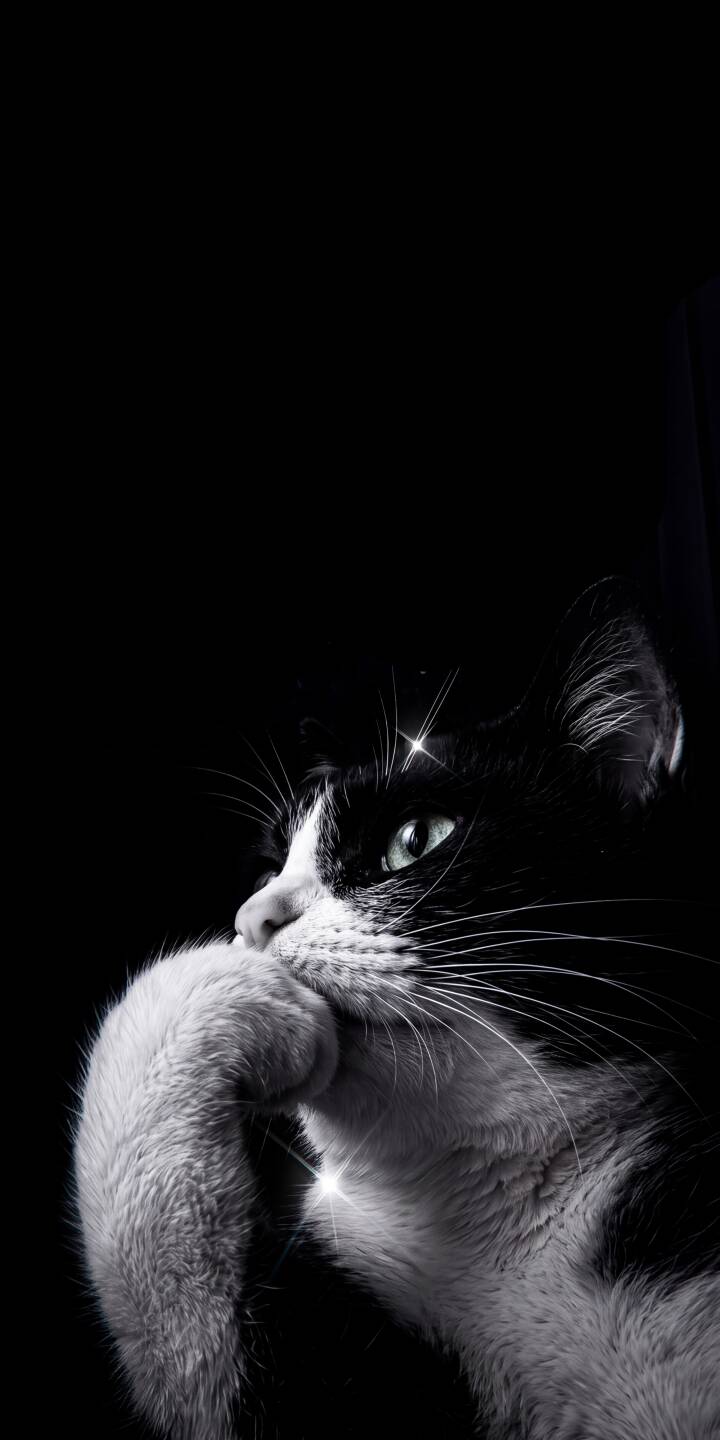 Piercing green eyes gleam intensely from this mysterious tuxedo cat, a white paw delicately covering its chin against a deep black background in this stunning 4K wallpaper — a captivating feline wallpaper for iPhone users seeking an elegant and thoughtful aesthetic. | cat iphone minimalist wallpaper black and white mobile green eyes 4k wallpaper hd wallpaper dark aesthetic feline tuxedo cat Piercing green eyes gleam intensely from this mysterious tuxedo cat, a white paw delicately covering its chin against a deep black background in this stunning 4K wallpaper — a captivating feline wallpaper for iPhone users seeking an elegant and thoughtful aesthetic.