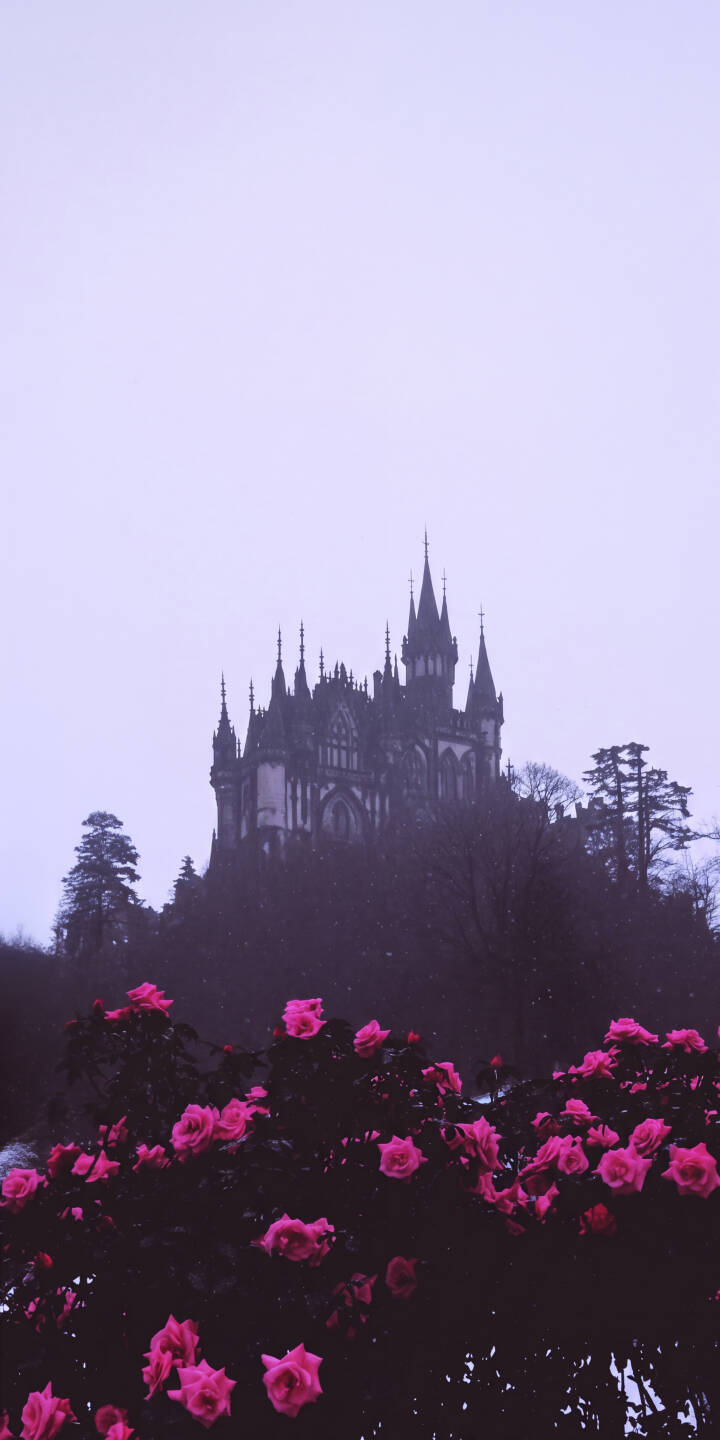 Vivid pink roses brilliantly contrast the shadowy form of a mysterious gothic castle in this atmospheric 4K wallpaper, an exquisite iPhone wallpaper for dark aesthetic lovers. | medieval iphone fantasy wallpaper mobile gothic castle 4k wallpaper hd wallpaper pink roses dark aesthetic mysterious purple sky Vivid pink roses brilliantly contrast the shadowy form of a mysterious gothic castle in this atmospheric 4K wallpaper, an exquisite iPhone wallpaper for dark aesthetic lovers.