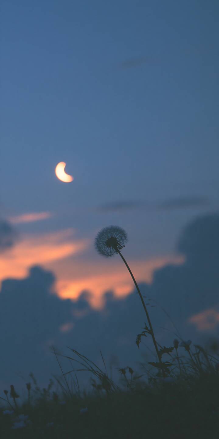 A delicate dandelion stands alone against a dreamy twilight sky, its fragile silhouette reaching toward a glowing orange crescent moon. Soft peach-colored sunset light illuminates the distant clouds, gradually fading into deep blue evening tones. The gentle contrast between the lonely flower, mysterious moon, and warm horizon creates a poetic cinematic atmosphere filled with serenity, nostalgia, and the quiet beauty of nature. | sunset twilight crescent dandelion dreamy A delicate dandelion stands alone against a dreamy twilight sky, its fragile silhouette reaching toward a glowing orange crescent moon. Soft peach-colored sunset light illuminates the distant clouds, gradually fading into deep blue evening tones. The gentle contrast between the lonely flower, mysterious moon, and warm horizon creates a poetic cinematic atmosphere filled with serenity, nostalgia, and the quiet beauty of nature.