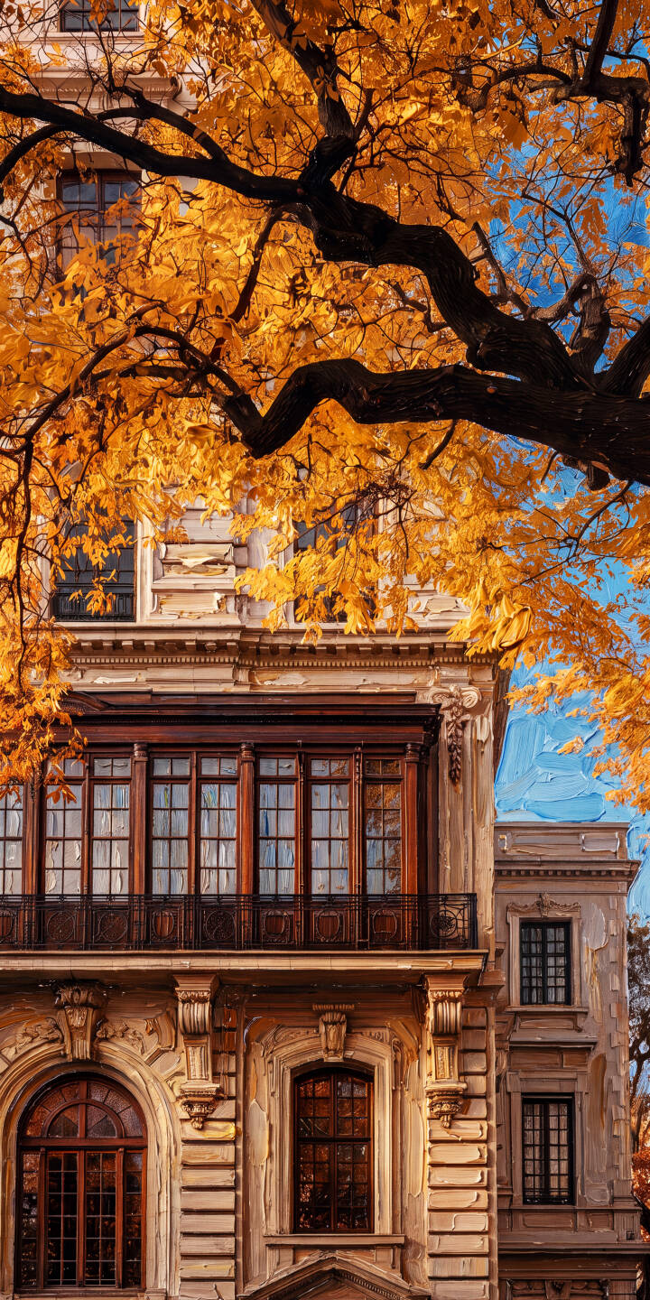 Rich golden autumn leaves dramatically frame an ornate classical building in this beautiful 4K wallpaper. This stunning painterly wallpaper, featuring intricate balconies and bright blue sky, is perfect for your iPhone. | building fall iphone autumn wallpaper mobile 4k wallpaper hd wallpaper ornate golden leaves painterly classic architecture Rich golden autumn leaves dramatically frame an ornate classical building in this beautiful 4K wallpaper. This stunning painterly wallpaper, featuring intricate balconies and bright blue sky, is perfect for your iPhone.