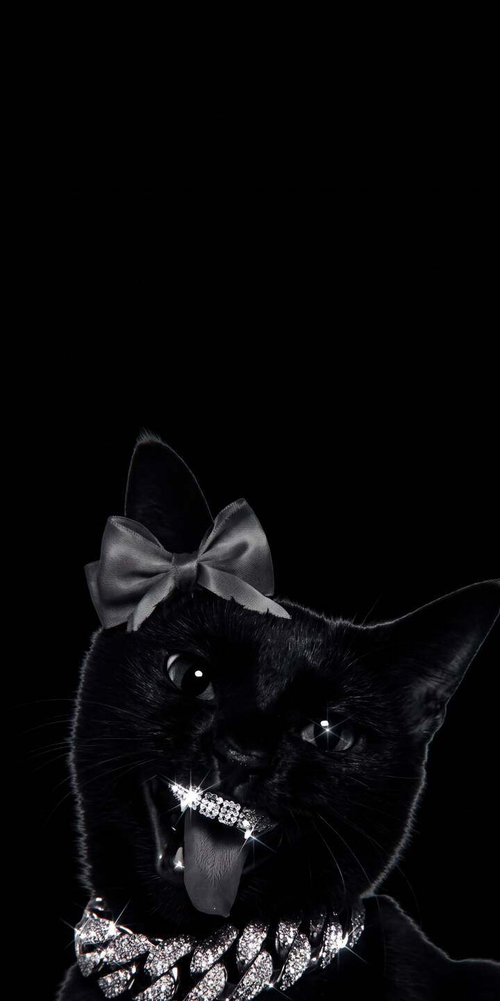 Sparkling diamond grills and a chunky chain adorn this stylish black cat in a sleek 4K wallpaper, making it a purr-fect wallpaper for iPhone. | funny cat iphone wallpaper black cat diamonds kitten mobile 4k wallpaper hd wallpaper dark aesthetic bling Sparkling diamond grills and a chunky chain adorn this stylish black cat in a sleek 4K wallpaper, making it a purr-fect wallpaper for iPhone.