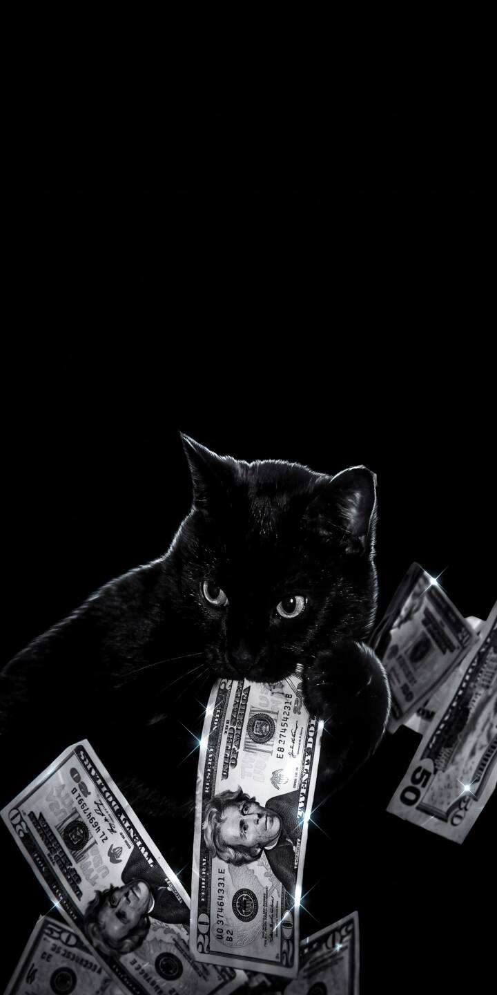 An intense black cat grasps a sparkling twenty-dollar bill in its mouth, surrounded by scattered currency against a dark backdrop in this captivating 4K wallpaper, a perfect money-themed wallpaper for your iPhone. | aesthetic animal dark money iphone rich wallpaper black cat dollars mobile 4k wallpaper hd wallpaper An intense black cat grasps a sparkling twenty-dollar bill in its mouth, surrounded by scattered currency against a dark backdrop in this captivating 4K wallpaper, a perfect money-themed wallpaper for your iPhone.