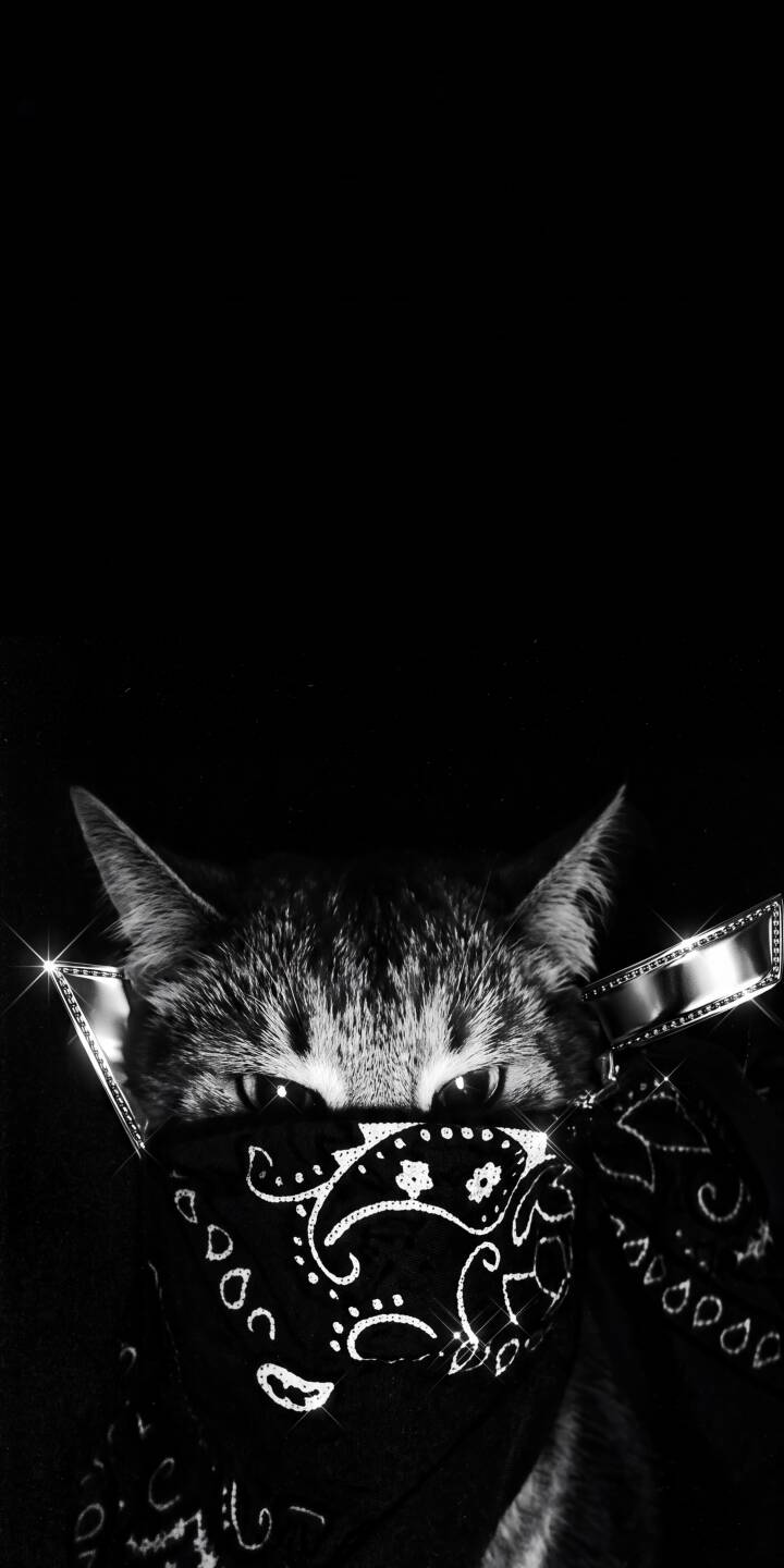 Piercing eyes of a black and white cat stare out from a stylish patterned bandana in this gritty 4K wallpaper. This mysterious wallpaper is perfect for personalizing your iPhone with a cool and edgy vibe. | animal cat iphone wallpaper black and white cool mobile 4k wallpaper hd wallpaper gritty feline bandana cat Piercing eyes of a black and white cat stare out from a stylish patterned bandana in this gritty 4K wallpaper. This mysterious wallpaper is perfect for personalizing your iPhone with a cool and edgy vibe.