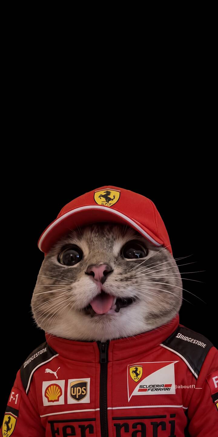 A wide-eyed, goofy cat with its tongue playfully poking out looks directly forward while dressed in a detailed red Ferrari F1 racing suit and cap, making for an adorable 4K wallpaper. This charming 4K wallpaper for iPhone truly captures the humorous expression of this F1 cat, featuring a distinct red Ferrari racing outfit against a simple black background. | funny red cat cute iphone wallpaper racing mobile 4k wallpaper hd wallpaper f1 cat ferrari cat A wide-eyed, goofy cat with its tongue playfully poking out looks directly forward while dressed in a detailed red Ferrari F1 racing suit and cap, making for an adorable 4K wallpaper. This charming 4K wallpaper for iPhone truly captures the humorous expression of this F1 cat, featuring a distinct red Ferrari racing outfit against a simple black background.