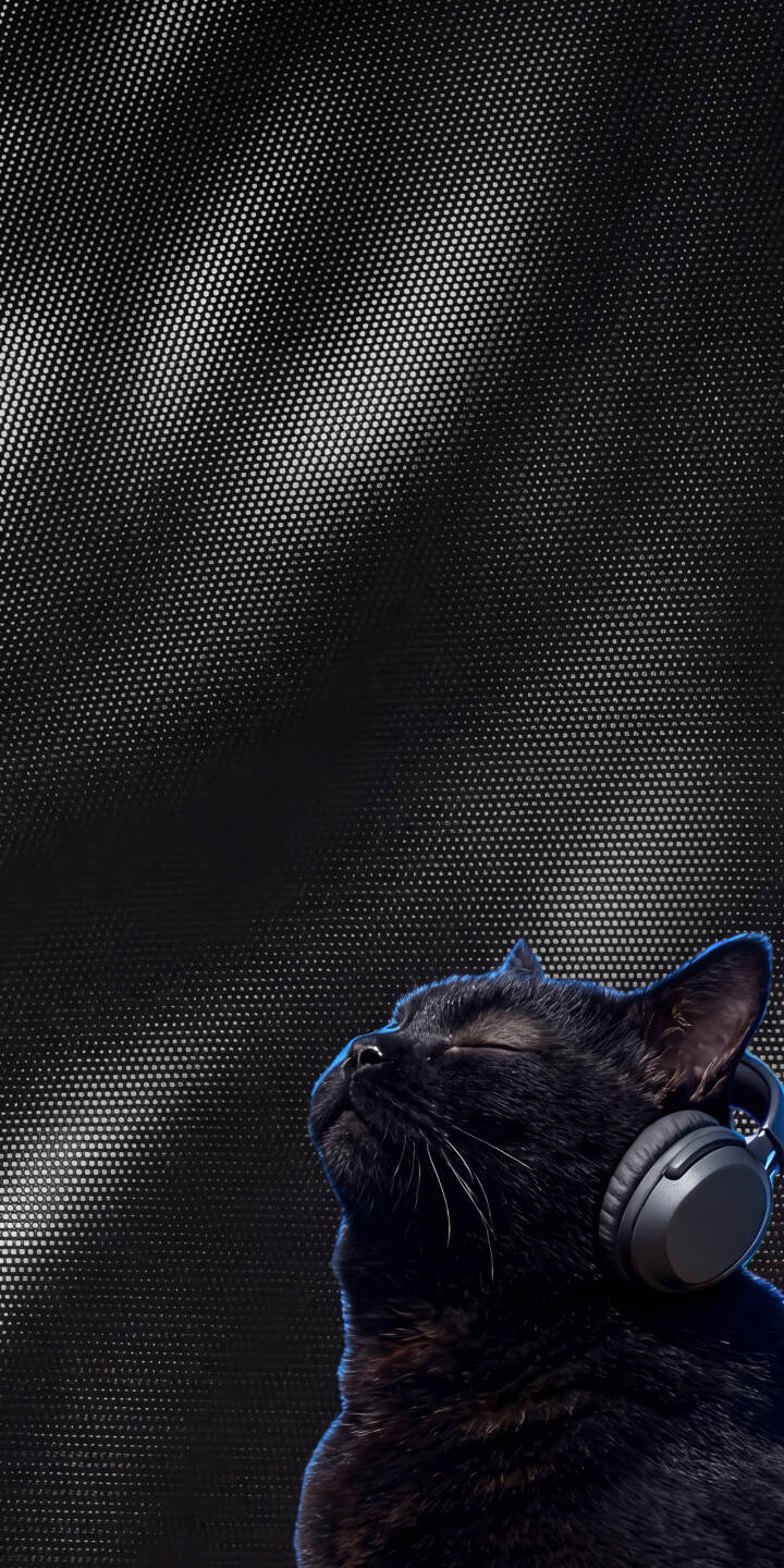 A sleek black cat with closed eyes and dark headphones enjoys serene music against a dark, textured background in this 4K wallpaper — an ideal aesthetic wallpaper for iPhone. | aesthetic music dark cat iphone wallpaper black cat mobile headphones 4k wallpaper hd wallpaper feline A sleek black cat with closed eyes and dark headphones enjoys serene music against a dark, textured background in this 4K wallpaper — an ideal aesthetic wallpaper for iPhone.