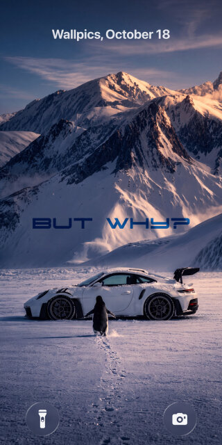 But Why Porsche Penguin Wallpaper