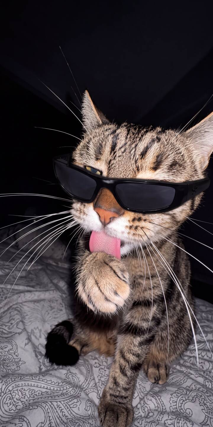 With a playful tongue sticking out and stylish sunglasses, this tabby cat is captured mid-groom in a charming 4K wallpaper for iPhone. A unique wallpaper that adds a touch of cool humor to your mobile device. | funny sunglasses cat iphone wallpaper mobile 4k wallpaper hd wallpaper feline tabby cat cool cat licking With a playful tongue sticking out and stylish sunglasses, this tabby cat is captured mid-groom in a charming 4K wallpaper for iPhone. A unique wallpaper that adds a touch of cool humor to your mobile device.