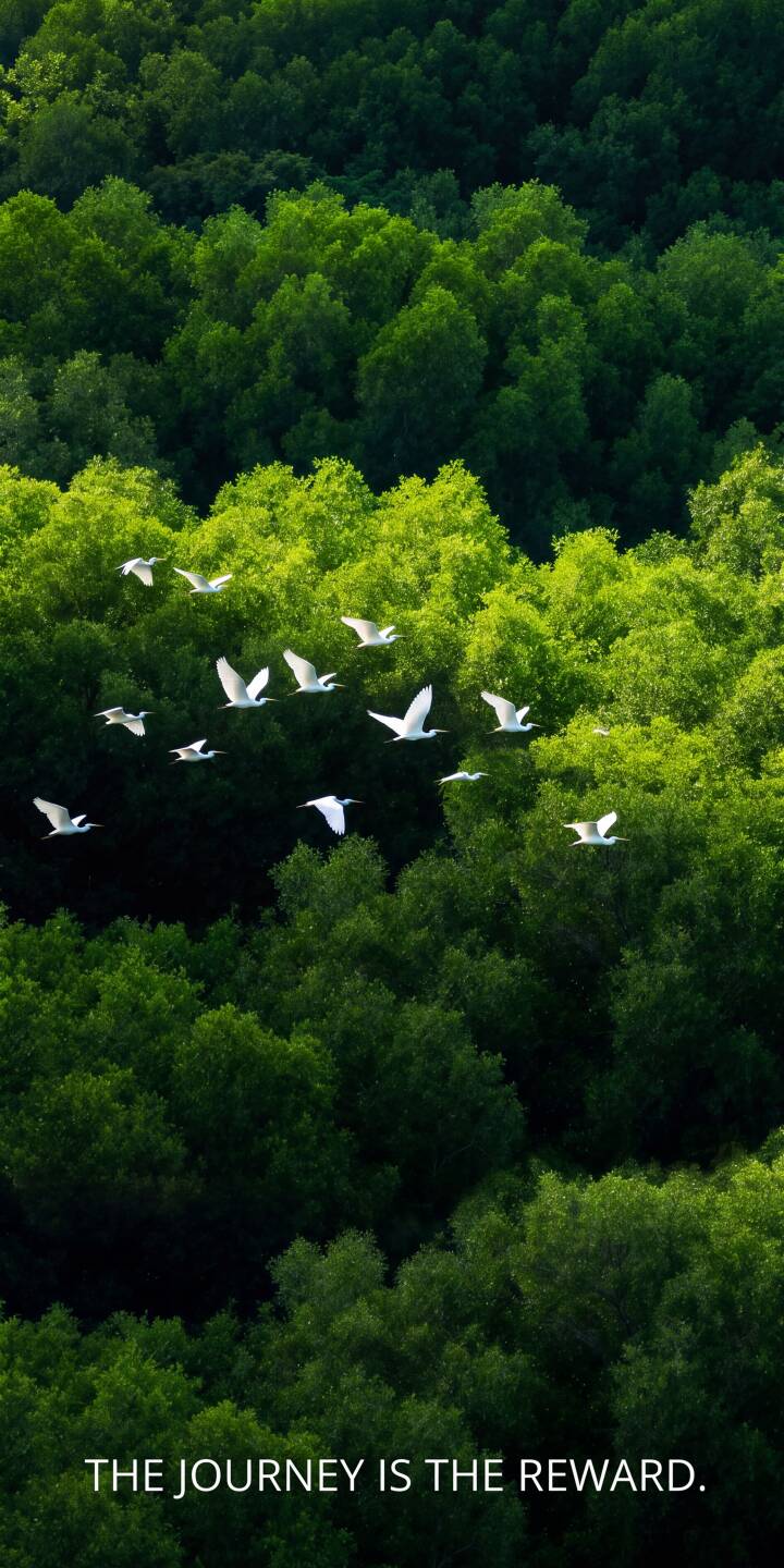 A serene flock of white egrets gracefully soars above a vibrant green forest canopy, their wings spread wide, in this breathtaking 4K wallpaper. This inspiring natural scene, enhanced by the quote "THE JOURNEY IS THE REWARD," creates a stunning and motivating iPhone wallpaper. | forest iphone nature birds wallpaper mobile peaceful 4k wallpaper hd wallpaper inspiring flock egrets A serene flock of white egrets gracefully soars above a vibrant green forest canopy, their wings spread wide, in this breathtaking 4K wallpaper. This inspiring natural scene, enhanced by the quote "THE JOURNEY IS THE REWARD," creates a stunning and motivating iPhone wallpaper.