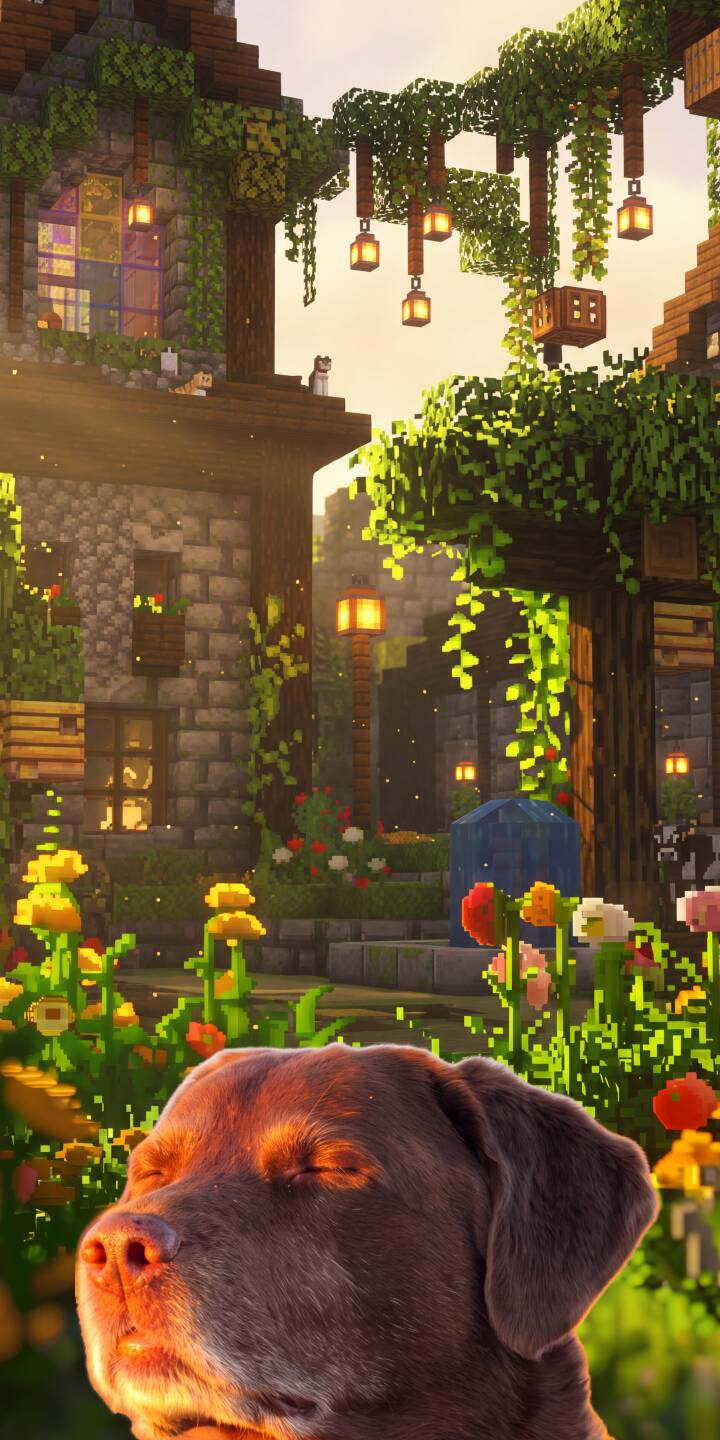 A chocolate Labrador peacefully rests with closed eyes, bathed in the golden glow of a charming Minecraft-style village, surrounded by lush pixelated flowers and warm hanging lanterns. This unique 4K wallpaper offers a serene blend of realism and fantasy, perfect as an iPhone wallpaper. | dog minecraft iphone cozy wallpaper mobile pixel art 4k wallpaper hd wallpaper serene chocolate lab labrador A chocolate Labrador peacefully rests with closed eyes, bathed in the golden glow of a charming Minecraft-style village, surrounded by lush pixelated flowers and warm hanging lanterns. This unique 4K wallpaper offers a serene blend of realism and fantasy, perfect as an iPhone wallpaper.