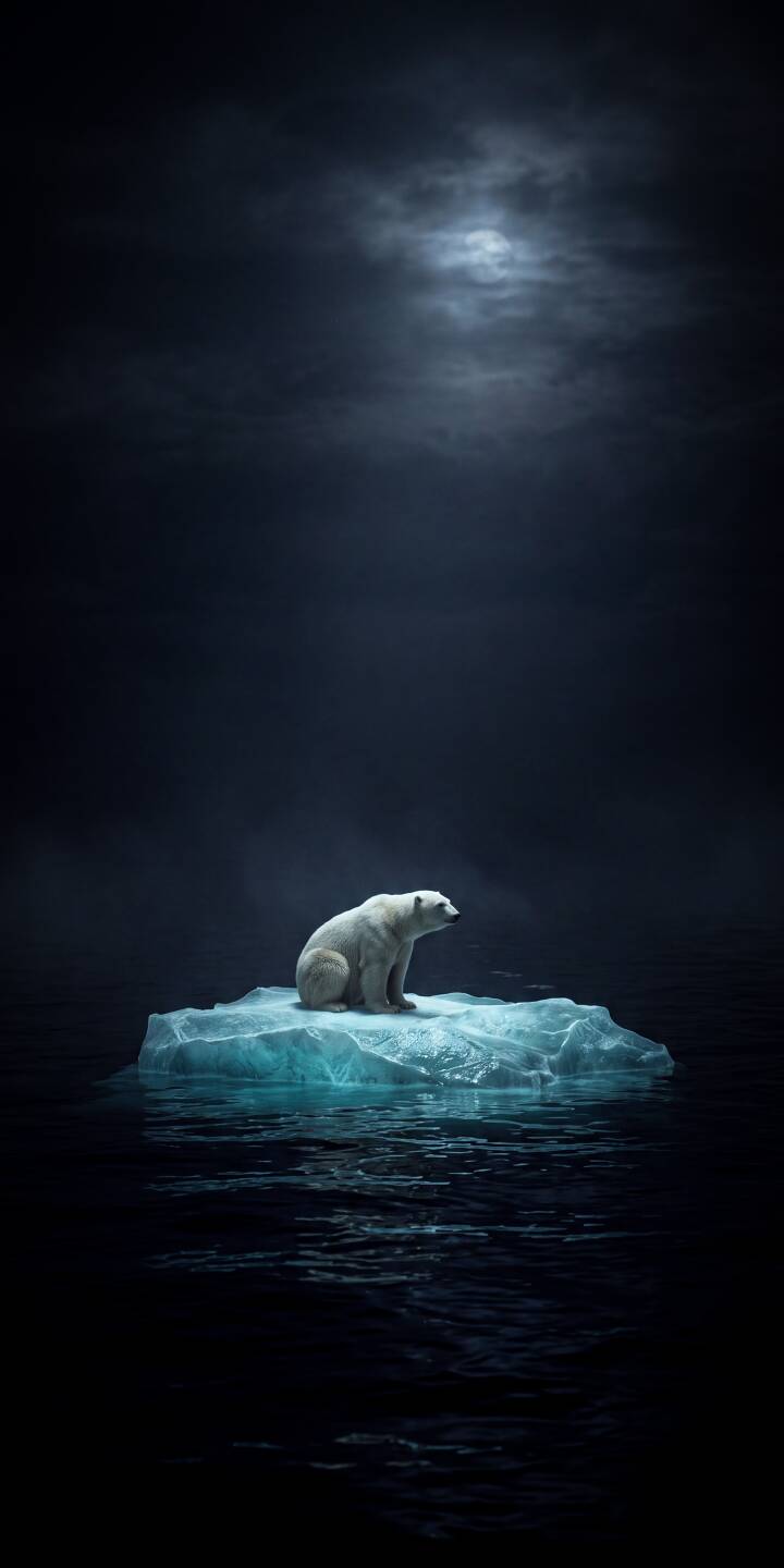 A lone polar bear sits reflectively on a radiant, aqua-hued iceberg, its solitude highlighted by the deep, dark ocean and a cloudy moonlit sky in this stunning 4K wallpaper. This evocative scene makes a powerful and visually striking wallpaper for any iPhone. | dark moonlight iceberg iphone nature wallpaper polar bear mobile 4k wallpaper hd wallpaper wildlife arctic bear A lone polar bear sits reflectively on a radiant, aqua-hued iceberg, its solitude highlighted by the deep, dark ocean and a cloudy moonlit sky in this stunning 4K wallpaper. This evocative scene makes a powerful and visually striking wallpaper for any iPhone.