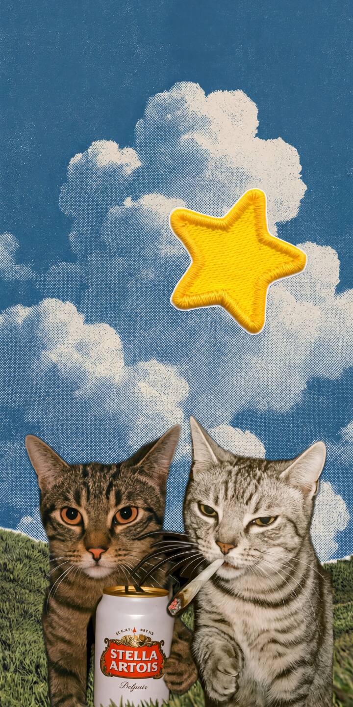 A mischievous tabby cat with a lit joint glares defiantly, positioned beside another curious cat and a Stella Artois beer can against a whimsical pop-art sky in this striking 4K wallpaper for iPhone. This unique cats wallpaper blends humor and retro style for your device. | beer iphone cats wallpaper mobile 4k wallpaper hd wallpaper pop art mischievous collage art funny cats joint A mischievous tabby cat with a lit joint glares defiantly, positioned beside another curious cat and a Stella Artois beer can against a whimsical pop-art sky in this striking 4K wallpaper for iPhone. This unique cats wallpaper blends humor and retro style for your device.