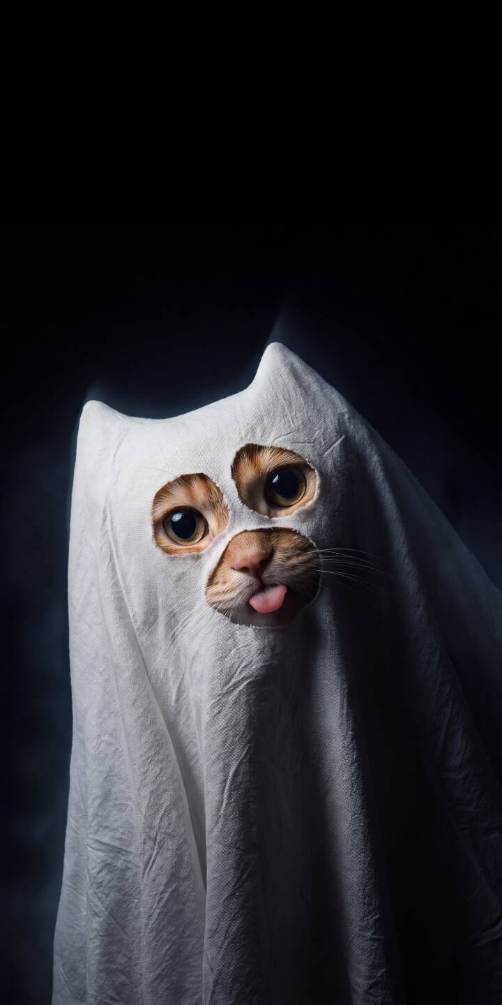 A fluffy cat with huge, expressive eyes peeks through jagged holes in a white ghost costume, its tiny tongue playfully sticking out, creating a delightfully spooky yet adorable 4K wallpaper — perfect for your iPhone screen. This charming cat ghost wallpaper captures a whimsical Halloween spirit against a dark, moody background. | funny ghost cat costume halloween cute iphone wallpaper kitten mobile 4k wallpaper hd wallpaper A fluffy cat with huge, expressive eyes peeks through jagged holes in a white ghost costume, its tiny tongue playfully sticking out, creating a delightfully spooky yet adorable 4K wallpaper — perfect for your iPhone screen. This charming cat ghost wallpaper captures a whimsical Halloween spirit against a dark, moody background.