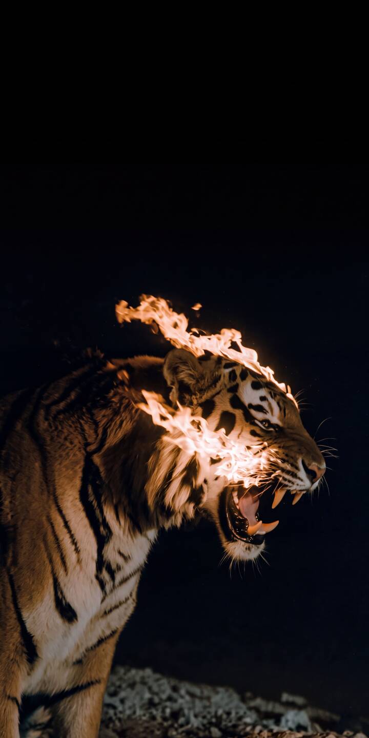 Flames intensely erupt around a ferocious tiger's head as it lets out a powerful roar in this breathtaking 4K wallpaper. This stunning mobile wallpaper is perfect for personalizing your iPhone with an epic display of raw power. | animal iphone tiger wallpaper mobile flames powerful 4k wallpaper hd wallpaper wildlife dark aesthetic roaring Flames intensely erupt around a ferocious tiger's head as it lets out a powerful roar in this breathtaking 4K wallpaper. This stunning mobile wallpaper is perfect for personalizing your iPhone with an epic display of raw power.