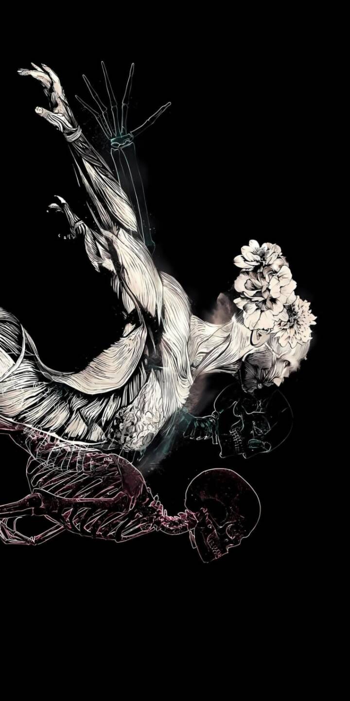 Flowing anatomical forms, depicted with intricate white line art, interweave with delicate white flowers and subtle skeletal elements against a stark black background in this chilling 4K wallpaper — a truly unique dark wallpaper for iPhone users seeking a blend of art and the macabre. | art Flowing anatomical forms, depicted with intricate white line art, interweave with delicate white flowers and subtle skeletal elements against a stark black background in this chilling 4K wallpaper — a truly unique dark wallpaper for iPhone users seeking a blend of art and the macabre.