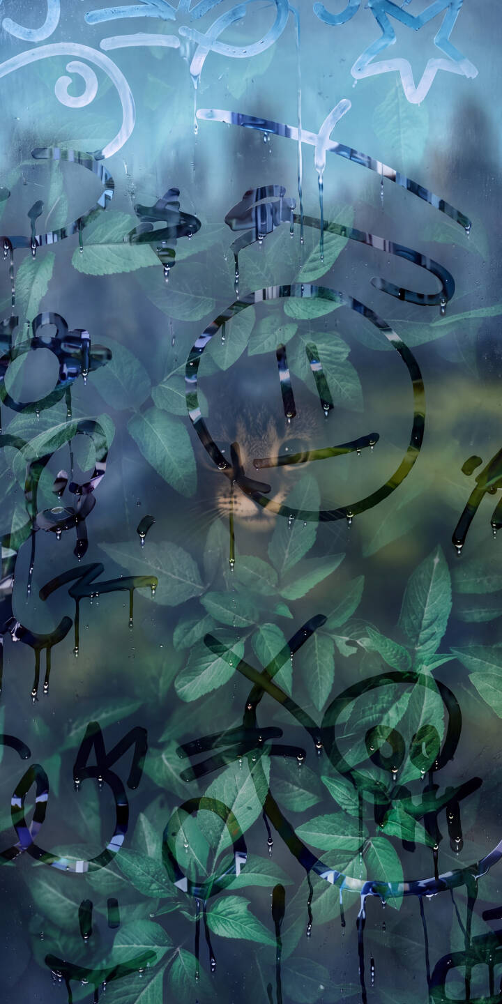 A mysterious feline's glowing eyes peek through a veil of vibrant green leaves, overlaid with edgy, dripping street art in this captivating 4K wallpaper. This unique visual makes for a compelling iPhone wallpaper. | street art cat iphone leaves wallpaper graffiti mystery mobile 4k wallpaper hd wallpaper feline green aesthetic A mysterious feline's glowing eyes peek through a veil of vibrant green leaves, overlaid with edgy, dripping street art in this captivating 4K wallpaper. This unique visual makes for a compelling iPhone wallpaper.