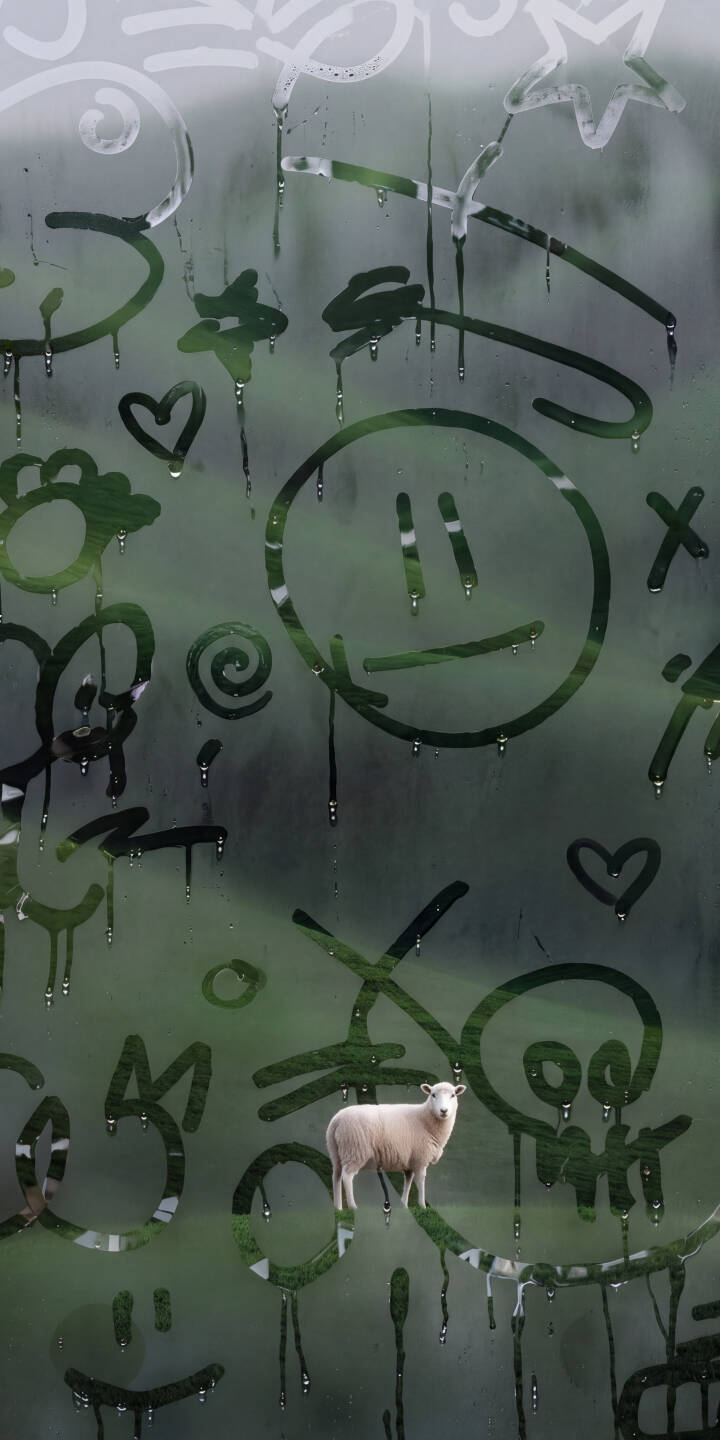 Wiped doodles and glistening water droplets cling to a foggy window, playfully framing a calm sheep standing behind the glass in this unique 4K wallpaper. This charming scene makes an endearing wallpaper for your iPhone, blending everyday graffiti with tranquil nature. | animal window doodle sheep foggy cute iphone wallpaper mobile whimsical 4k wallpaper hd wallpaper Wiped doodles and glistening water droplets cling to a foggy window, playfully framing a calm sheep standing behind the glass in this unique 4K wallpaper. This charming scene makes an endearing wallpaper for your iPhone, blending everyday graffiti with tranquil nature.