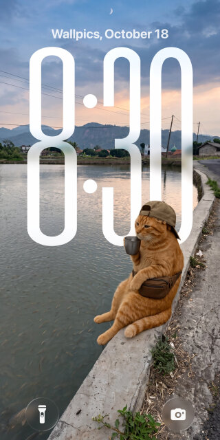 Adventure Cat Sunset Wallpaper