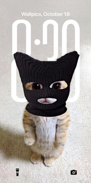 Balaclava Cat Thief Wallpaper