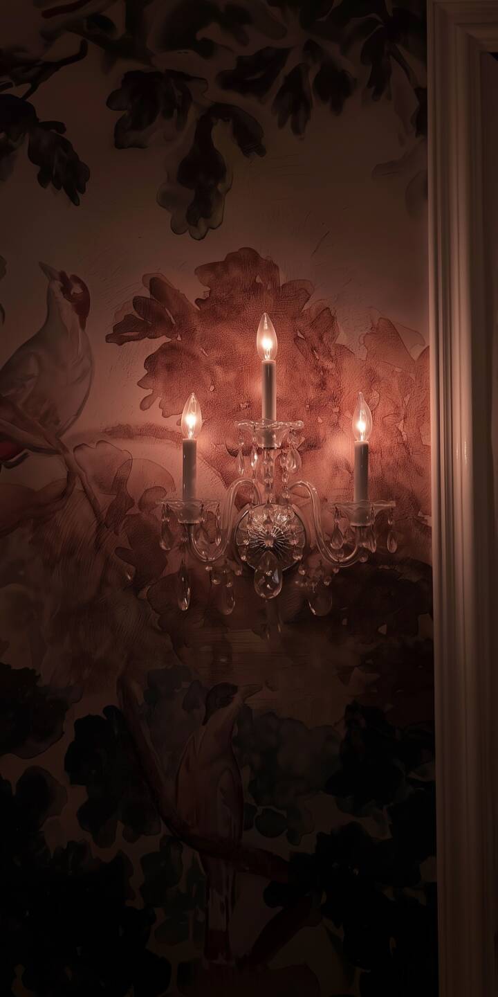 A soft amber glow from the elegant crystal sconce illuminates a beautiful bird and botanical pattern in this exquisite 4K wallpaper, making it a perfect ambient wallpaper for your iPhone. | aesthetic iphone wallpaper mobile elegant 4k wallpaper hd wallpaper botanical floral pattern ambient light sconce crystal light A soft amber glow from the elegant crystal sconce illuminates a beautiful bird and botanical pattern in this exquisite 4K wallpaper, making it a perfect ambient wallpaper for your iPhone.
