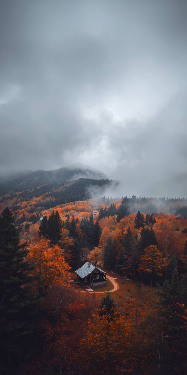 Dramatic grey clouds shroud mist-covered mountains above a dense forest in this stunning 4K wallpaper, highlighting a solitary cabin nestled among vibrant orange autumn trees. This captivating wallpaper is perfect for iPhone users seeking a serene yet moody aesthetic. | landscape forest foggy mountain fall iphone autumn wallpaper mobile cabin 4k wallpaper hd wallpaper Dramatic grey clouds shroud mist-covered mountains above a dense forest in this stunning 4K wallpaper, highlighting a solitary cabin nestled among vibrant orange autumn trees. This captivating wallpaper is perfect for iPhone users seeking a serene yet moody aesthetic.