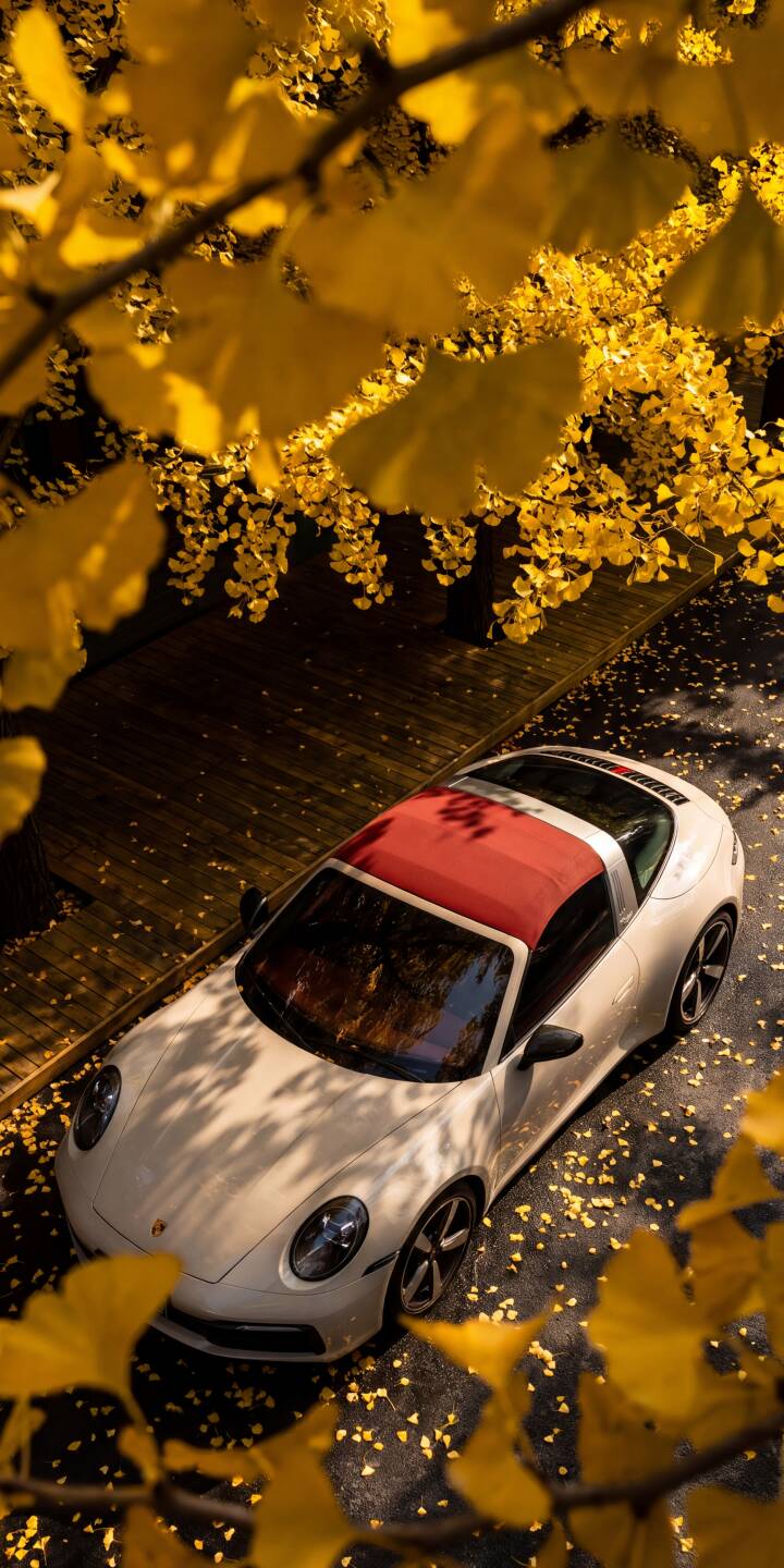 Vibrant yellow Ginkgo leaves frame the elegant white Porsche 911 Targa, creating a stunning autumnal scene for this 4K car wallpaper. This luxurious wallpaper is perfect for your iPhone, showcasing the iconic red Targa roof and scattered golden foliage. | sports car fall iphone porsche autumn wallpaper mobile luxury car porsche 911 4k wallpaper hd wallpaper ginkgo leaves Vibrant yellow Ginkgo leaves frame the elegant white Porsche 911 Targa, creating a stunning autumnal scene for this 4K car wallpaper. This luxurious wallpaper is perfect for your iPhone, showcasing the iconic red Targa roof and scattered golden foliage.
