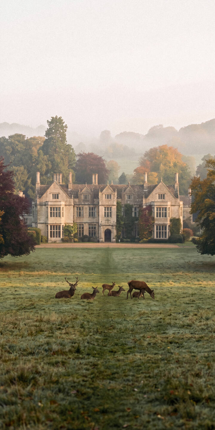 A tranquil mist hangs over a grand country manor as several deer gracefully graze in the foreground, creating a picturesque 4K wallpaper; this serene scene makes a stunning iPhone wallpaper. | iphone autumn deer wallpaper mist mobile 4k wallpaper hd wallpaper countryside serene estate manor A tranquil mist hangs over a grand country manor as several deer gracefully graze in the foreground, creating a picturesque 4K wallpaper; this serene scene makes a stunning iPhone wallpaper.