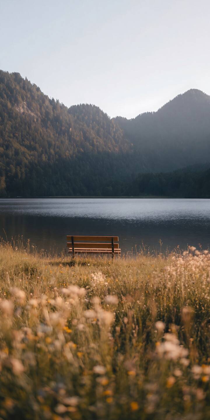 A lone wooden bench sits invitingly by the calm, reflective lake, framed by distant misty mountains and a foreground of sun-kissed wildflowers in this serene 4K wallpaper. This tranquil scene makes for an ideal peaceful iPhone wallpaper. | landscape lake bench iphone nature mountains wallpaper mobile 4k wallpaper hd wallpaper serene wildflowers A lone wooden bench sits invitingly by the calm, reflective lake, framed by distant misty mountains and a foreground of sun-kissed wildflowers in this serene 4K wallpaper. This tranquil scene makes for an ideal peaceful iPhone wallpaper.