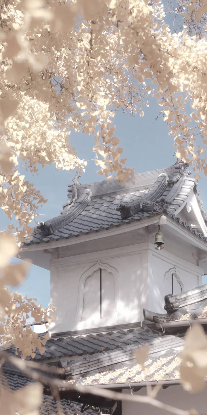 Pale golden ginkgo leaves softly frame the elegant, grey-tiled roof of a traditional Japanese temple in this serene 4K wallpaper, making it a perfect aesthetic wallpaper for your iPhone. | aesthetic pagoda iphone nature autumn wallpaper mobile 4k wallpaper hd wallpaper ginkgo japanese temple traditional architecture Pale golden ginkgo leaves softly frame the elegant, grey-tiled roof of a traditional Japanese temple in this serene 4K wallpaper, making it a perfect aesthetic wallpaper for your iPhone.