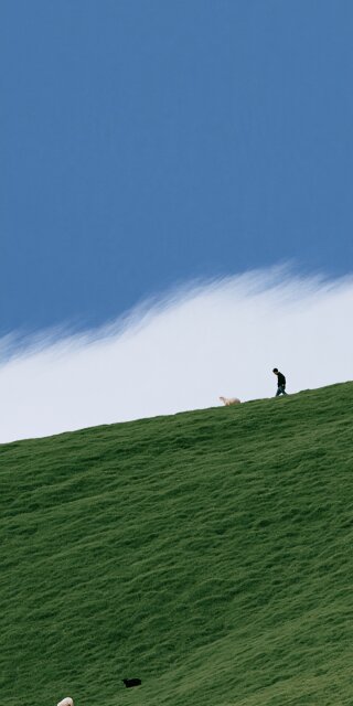 A Quiet Walk Across Green Hills